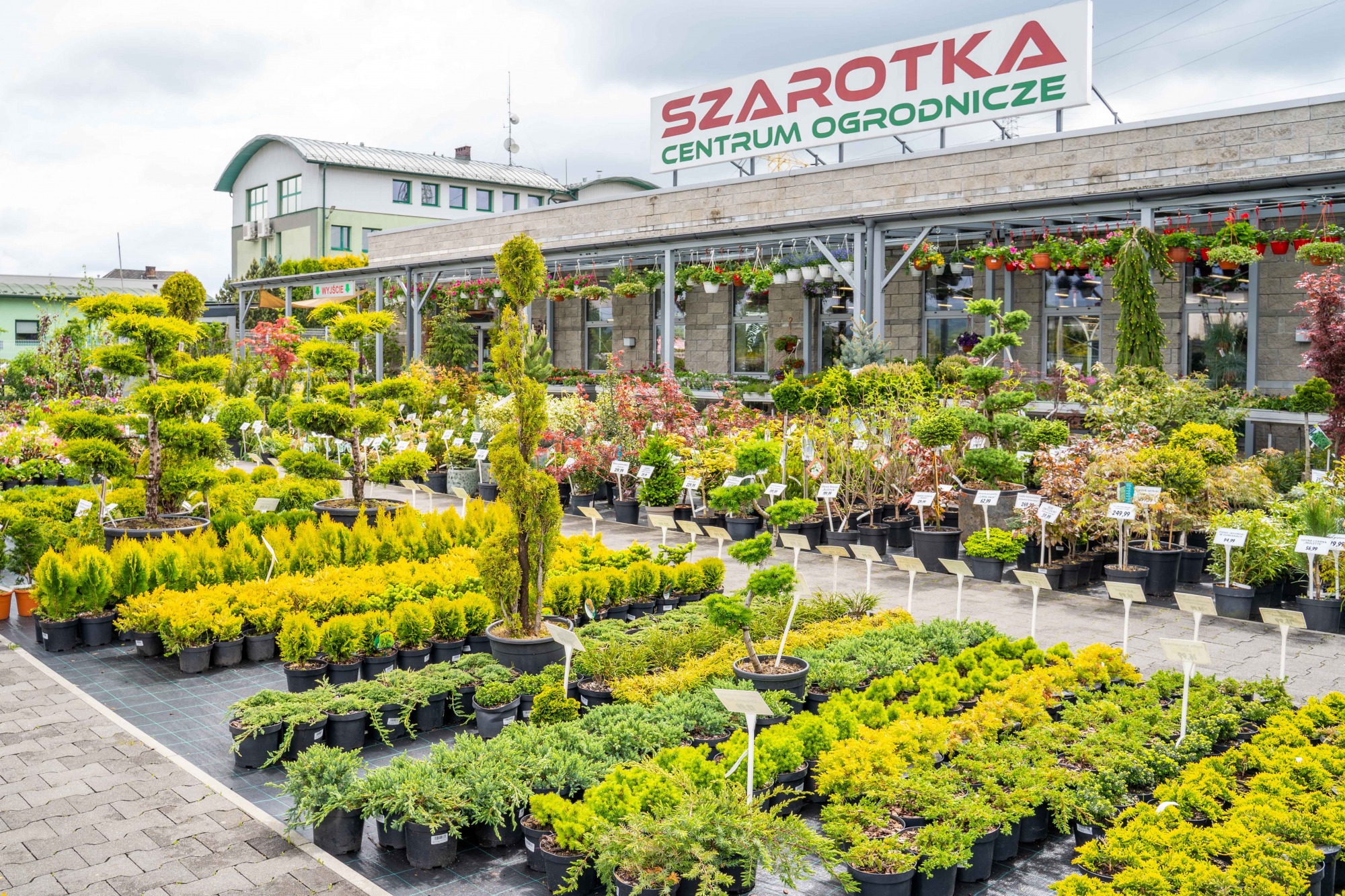 Wiosenne porządki i szeroki wybór roślin w Centrum Ogrodniczym Szarotka w Żywcu i Bielsku-Białej